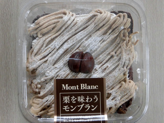 mont-blanc-top.jpg