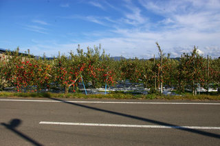 2015-1011-011.jpg
