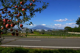 2015-1011-013.jpg