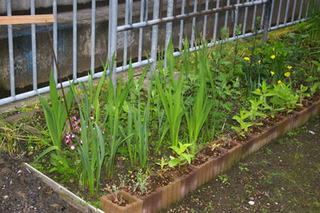 20170626-08.jpg
