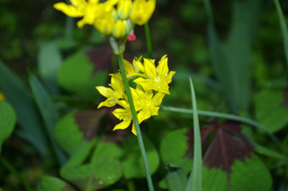 20170626-09.jpg
