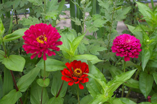 20170729-11.jpg