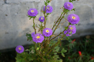 20170914-01.jpg