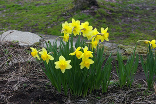20180416-01.jpg