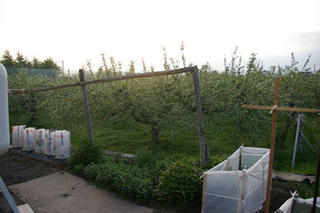 20180515-01.jpg