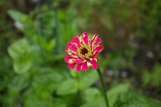 201807019-01.jpg