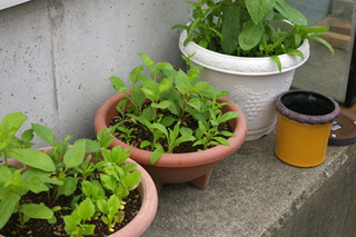 201807019-04.jpg