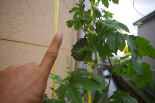 20180816-06.jpg