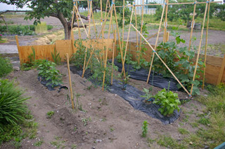 20190611-01.jpg